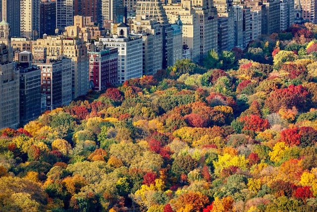 Private Hudson Valley Fall Foliage Helicopter Charter from Manhattan - Photo 1 of 6